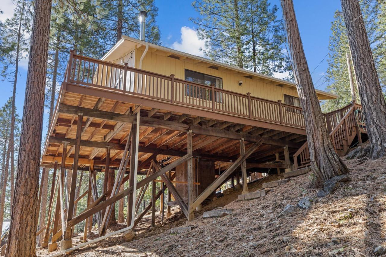Big Trees, Little Cabin Arnold Luaran gambar